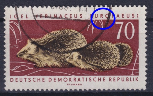Ddr 982 gestempelt - ddr, b